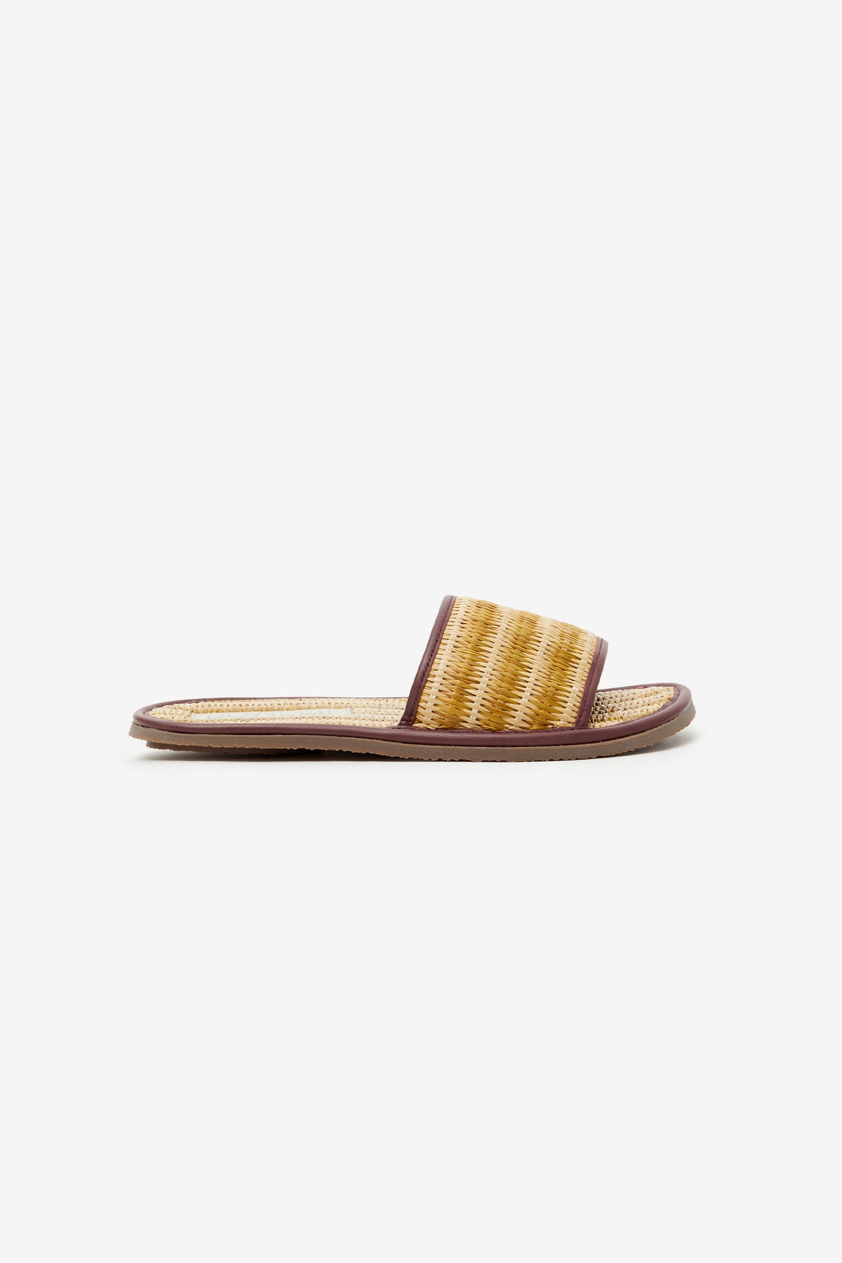 ADA SLIDE OCRE
