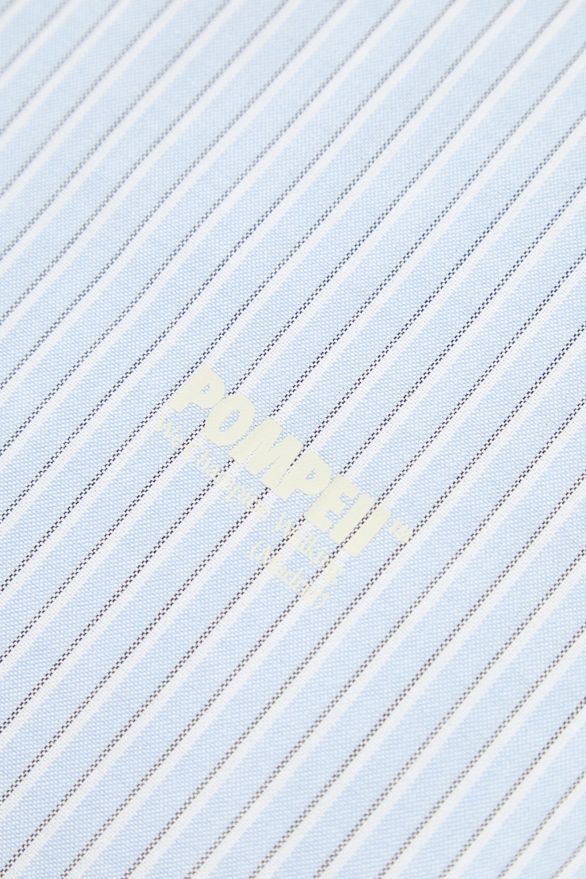 POMPEII STRIPE OXFORD SHIRT